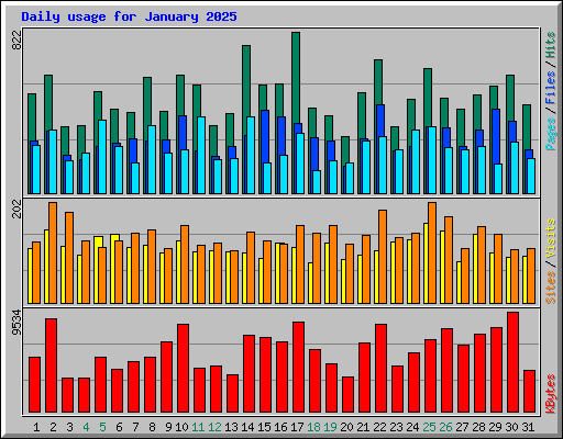Daily usage for January 2025