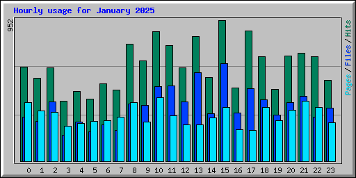 Hourly usage for January 2025